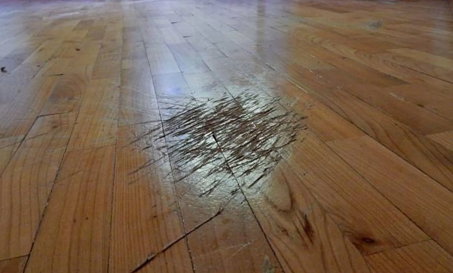 How to Remove Scratches from Hardwood Floors Like This Type Floors