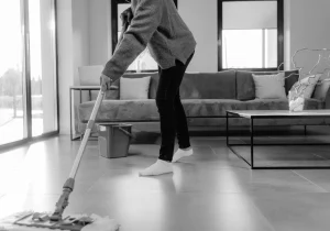 Advanced work process for House Cleaning Services Lexington SC