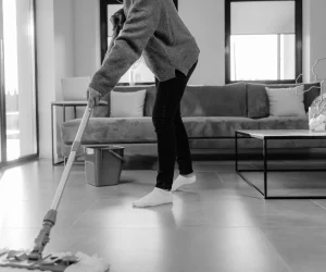 Advanced work process for House Cleaning Services Lexington SC