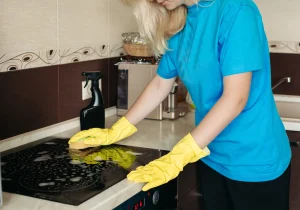 Professional Kitchen Cleaning Services Lexington SC